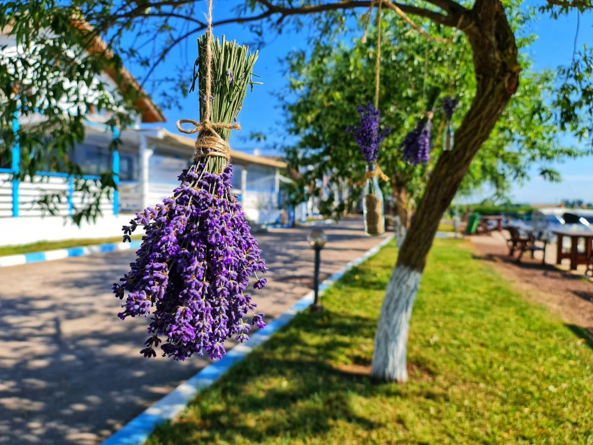 Casa Pescarilor Hotel Lunca  Ngoại thất bức ảnh